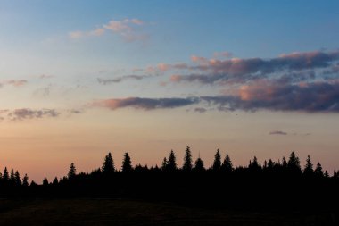 Dağlarla ve köknar ağaçlarıyla güzel bir gün batımı manzarası. Paltinis, Sibiu, Romanya 'da vuruldu