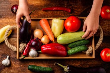 Bir kadın farklı sebzelerle dolu bir tepsiyi ahşap bir arka planda tutar. Bitkisel hayat, geçmiş, vejetaryenlik konsepti.