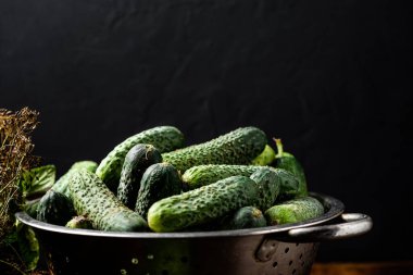 Koyu ahşap bir arka planda elek içindeki taze organik salatalıklar. Turşuya hazırlanılıyor.