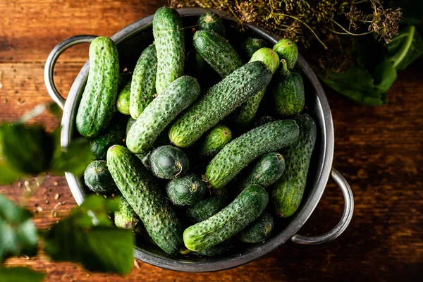 Verse Biologische Komkommers Een Zeef Kruiden Een Donkere Houten Ondergrond — Stockfoto