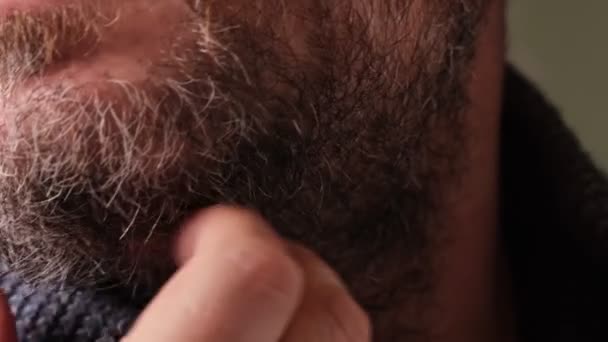 Primer Plano Hombre Sin Afeitar Acariciando Barba Gris — Vídeo de stock