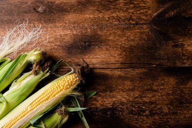 Koyu ahşap arka planda taze çiğ mısır koçanları. Sağlıklı gıda, vejetaryenlik kavramı. Metin eklenecek yer.