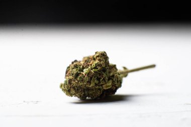 Beyaz arka planda marihuana tomurcuğu. Mikrodozlama kavramı.