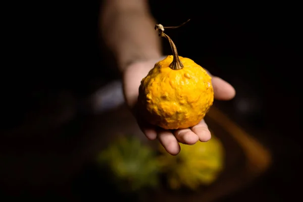 Calabaza Arbusto Calabaza Plato Palma Una Mujer Sobre Fondo Oscuro —  Fotos de Stock