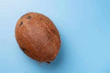 Mavi arka planda bir hindistan cevizi. Metin için yer.