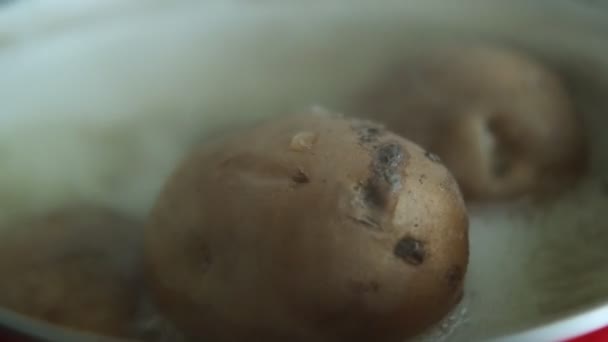 Las Patatas Hierven Una Cacerola Agua Hirviendo — Vídeo de stock