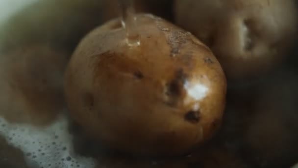 ジャガイモ全体に水を注ぐ — ストック動画