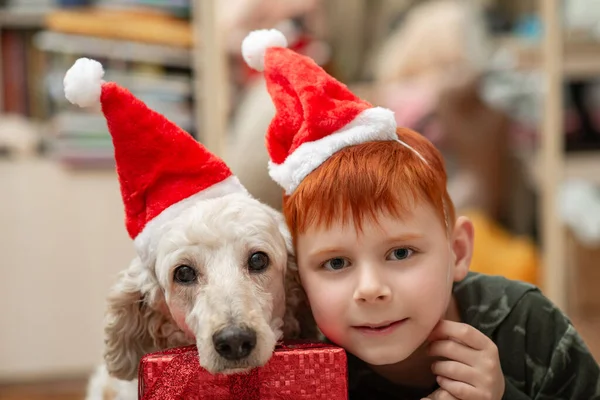 カメラを見ているのは 若い赤い髪の男の子と新年の帽子の犬 ペット 子供の関係 — ストック写真