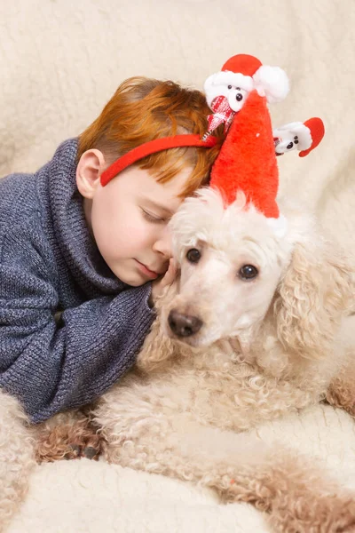 新年の帽子の若い男の子は大きな白い王室のプードル犬の上で寝ています 犬と子供の概念の関係 — ストック写真