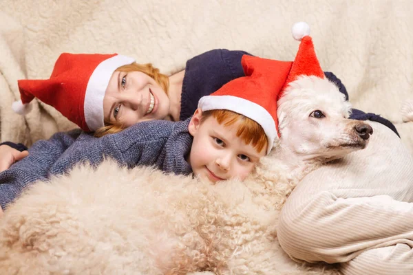 新年の帽子の母 犬はクリスマス休暇中に笑っています 楽しい家族がいる — ストック写真