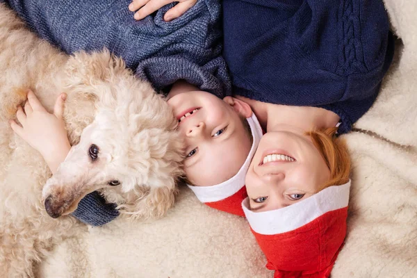 Een Vrouw Met Een Jonge Zoon Een Hond Gekleed Nieuwjaarshoed — Stockfoto