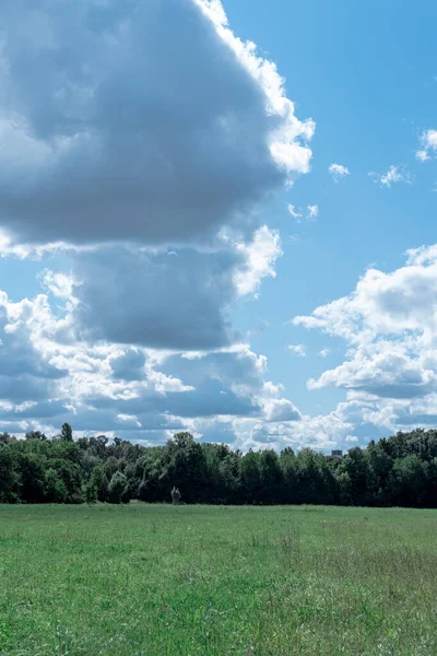 Campo Verde Floresta Céu Azul Com Nuvens — Fotografia de Stock