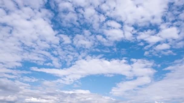 Nuvens Céu Azul Timelapse Vista Nuvens Movimento Rápido — Vídeo de Stock