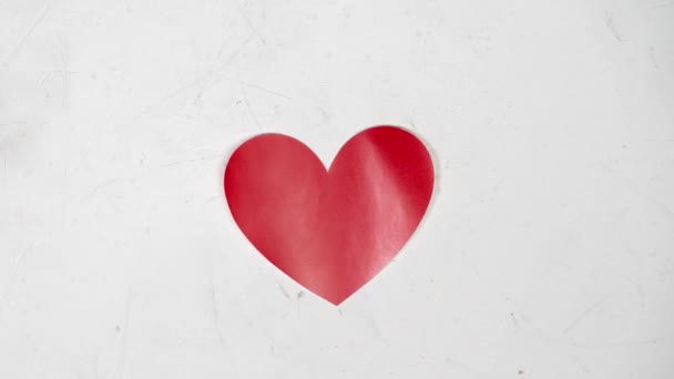 Κόκκινη Καρδιά Πάλλεται Λευκό Φόντο Του Αγίου Βαλεντίνου Σταμάτημα Κίνησης — Αρχείο Βίντεο
