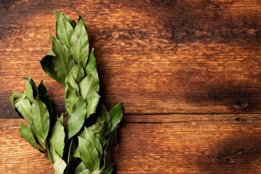 Green Bay yaprakları dalı. Kırsal ahşap arka plan. Yemek arkaplanı. Metin için yer.