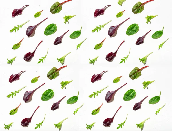 白い背景に異なるサラダのミックス アルグラの葉 赤いカード ほうれん草 ベジタリアンのコンセプト 野菜の背景 — ストック写真