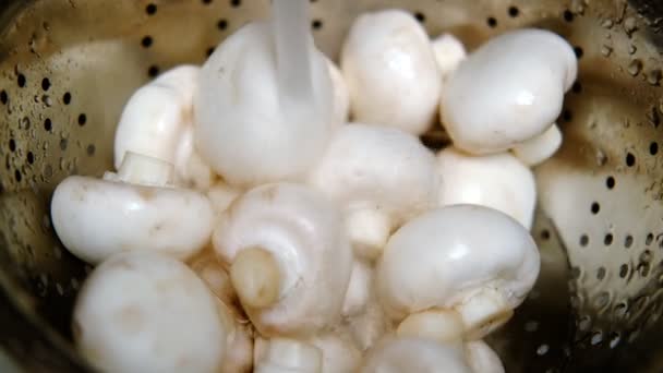 Wash Mushrooms Water Water Poured Fresh Champignons Colander — Stock Video