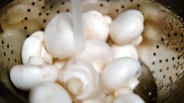 Suyun altında mantar yıka. Bir kevgirde taze şampiyonların üzerine su dökülür..