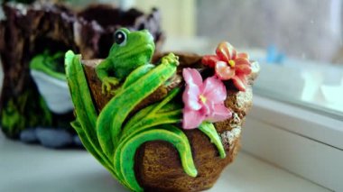 Kurbağa desenli saksılar. Yaratıcı saksı.