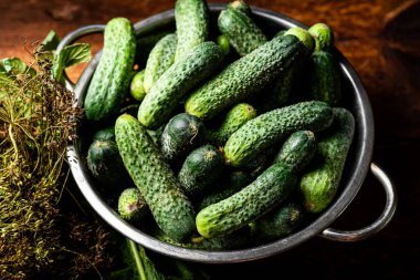 Koyu ahşap bir arka planda elek içindeki taze organik salatalıklar. Turşuya hazırlanılıyor.