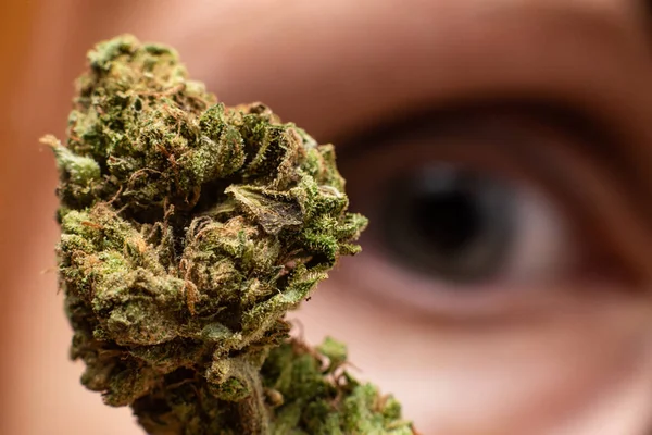 Marijuana Conceito Visão Cânabis Flor Botão Fundo Olho Feminino Humano — Fotografia de Stock
