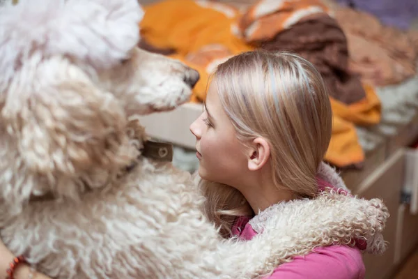 Tiener Meisje Een Grote Hond Royal Poodle — Stockfoto