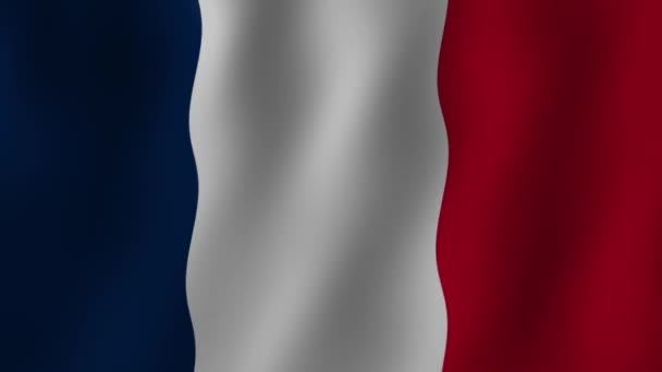 Die Flagge Frankreichs Weht Animation Symbol Des Staates Frankreich — Stockvideo