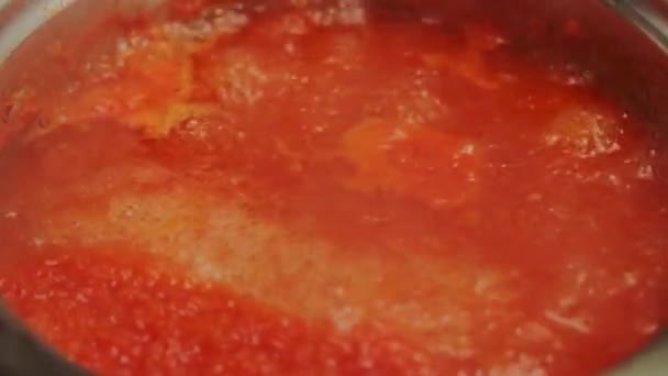 Σάλτσα Ντομάτας Και Κόκκινης Πιπεριάς Που Σιγοβράζει Μια Κατσαρόλα Σάλτσα — Αρχείο Βίντεο