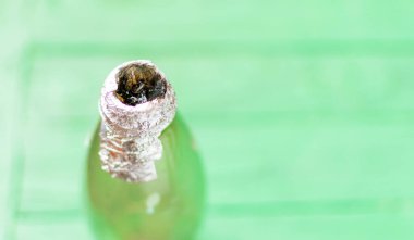 Yeşil arka plandaki plastik bir şişeden esrar için nargile..