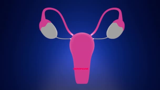 Εμμηνόπαυση Γυναικεία Εσωτερικά Γεννητικά Όργανα Μπλε Φόντο Λέξη Είναι Εμμηνόπαυση — Αρχείο Βίντεο