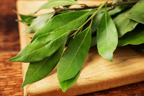 Bay Leaves Branch Macro Light Wooden Background — Stock Photo, Image