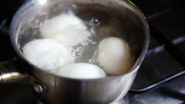 Chicken Eggs Boiled Saucepan Cooking Eggs — Video