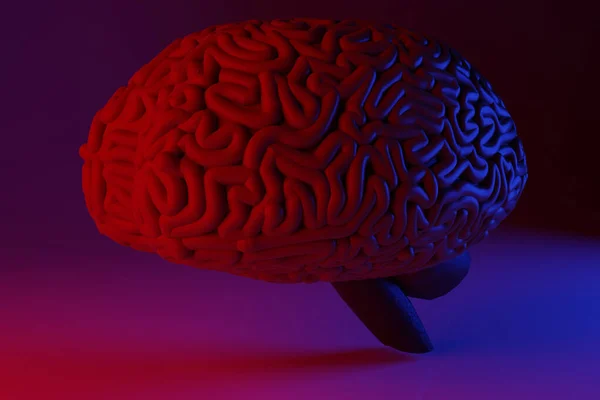 Human Brain Illuminated Double Red Blue Render — стоковое фото