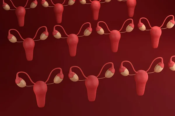 Ménopause Concept Santé Des Femmes Organes Reproducteurs Féminins Sur Fond — Photo