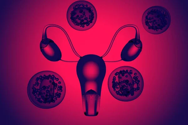 妇女健康 妇科概念 女性内部器官 卵巢和细胞 抽象表示 红色背景 3D渲染 — 图库照片