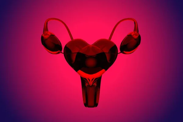 妇女健康 妇科概念 女性内部器官 子宫和卵巢 抽象表示 红色背景 3D渲染 — 图库照片