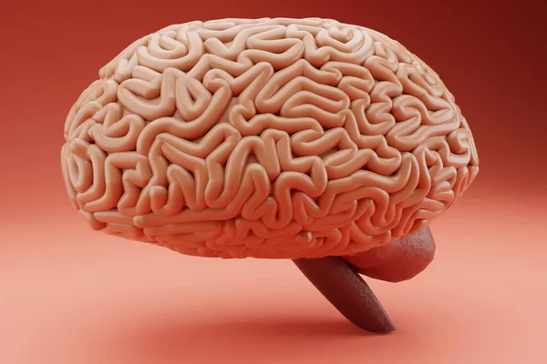 光の上の人間の脳 3Dレンダリング — ストック写真