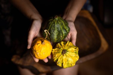 Farklı türde bir balkabağı, dişi ellerinde kabak, karanlık bir arka planda..