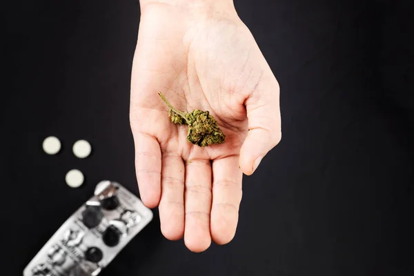 Marijuana Pilules Sur Les Paumes Féminines Cannabis Médical Comme Alternative — Photo