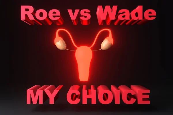 Violation of women\'s rights to abortion. Passing a law banning abortion. Roe vs Wade, my choice. Conventional designation of the female uterus. 3D render.