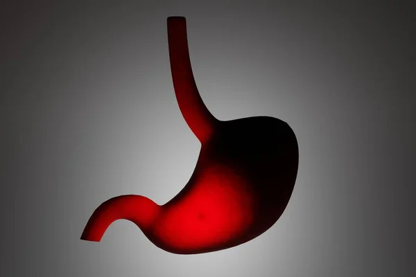在灰色背景上有明亮区域的胃 胃的问题 3D渲染 — 图库照片