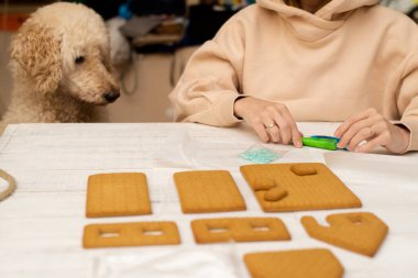 Köpekli bir kadın zencefilli kurabiye evi yapar. Yeni yıla hazırlanıyorum, Noel 'e.