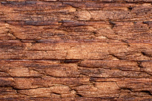 Textura Madeira Velha Close Pode Ser Usado Como Fundo — Fotografia de Stock