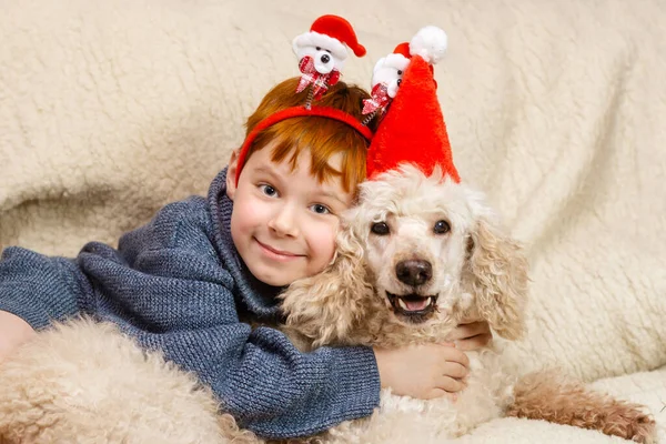 男の子と犬は新しい年 クリスマスを祝う楽しみを持っています 子供と犬の交流 — ストック写真