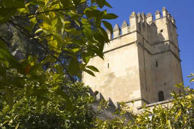 Aslanlar kulesi... Alcazar. Cordoba