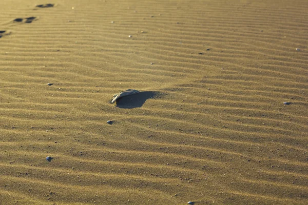 Sand am Strand. — Stockfoto