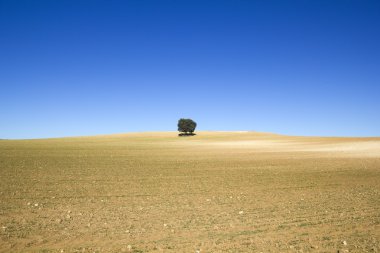 castilla la mancha alan