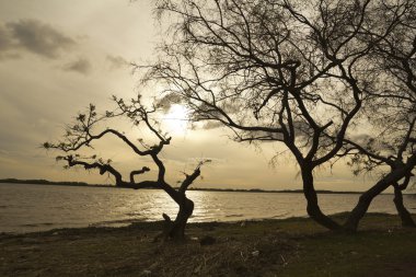 Rio de la Plata (nehir gümüş)