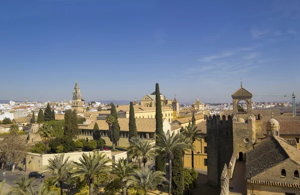 Panorámica de la ciudad de Córdoba , — Foto de Stock