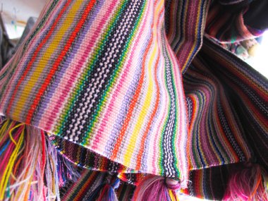 Andean pançolar, Şili
